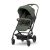 Lorelli Makaya sport babakocsi - Green